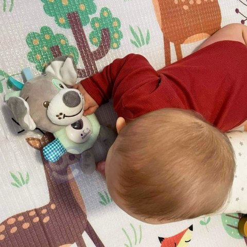 WOOPIE BABY Interaktywny Pluszak Przytulanka dla Niemowląt Światło Dźwięk Piesek Usypiacz WOOPIE BABY Interaktywny Pluszak Przytulanka dla Niemowląt Światło Dźwięk Piesek Usypiacz