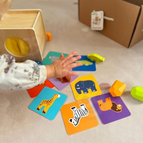 TOOKY TOY Box Pudełko XXL Montessori Edukacyjne 7w1 Sensoryczne 31-36 Mies. TOOKY TOY Box Pudełko XXL Montessori Edukacyjne 7w1 Sensoryczne 31-36 Mies.