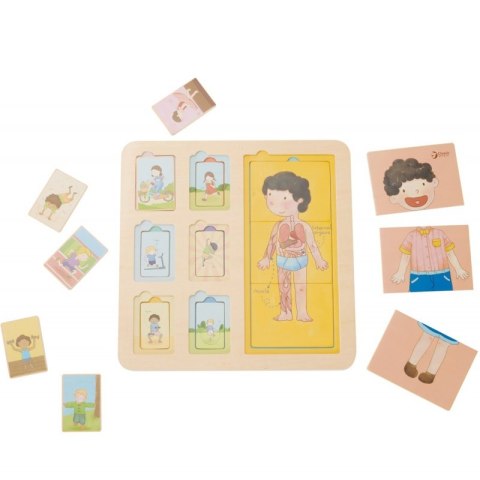 CLASSIC WORLD Tablica Edukacyjna Ciało Ludzkie Układanka Klocki Puzzle dla Dzieci Dopasuj MONTESSORI 19 el. CLASSIC WORLD Tablica Edukacyjna Ciało Ludzkie Układanka Klocki Puzzle dla Dzieci Dopasuj MONTESSORI 19 el.