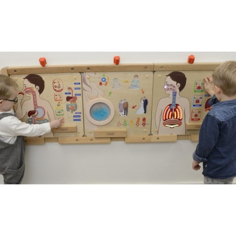 MASTERKIDZ Tablica Edukacyjna Układ Oddechowy Montessori MASTERKIDZ Tablica Edukacyjna Układ Oddechowy Montessori