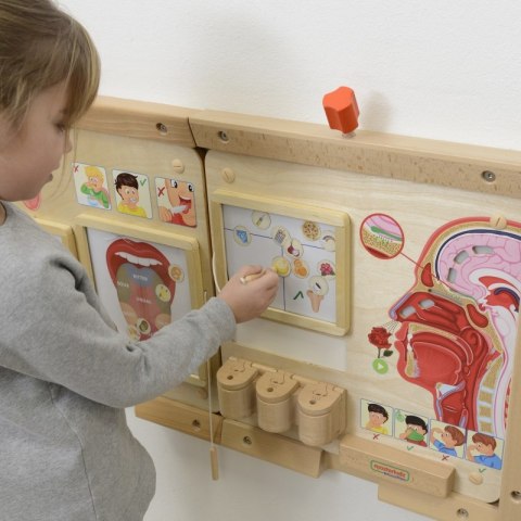 MASTERKIDZ Tablica Edukacyjna Zmysł Węchu Montessori MASTERKIDZ Tablica Edukacyjna Zmysł Węchu Montessori